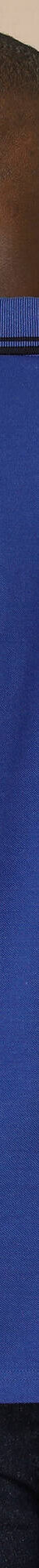 Polo uni maille piquée manches longues (bleu) Polo uni maille piquée manches longues (bleu)